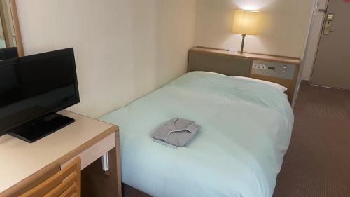 Pokój z łóżkiem, telewizorem i poduszką w obiekcie Olympic Inn Kanda w Tokio