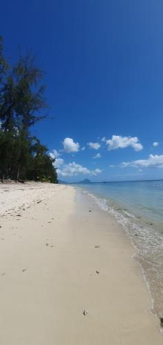 Coconut Bay Apartments