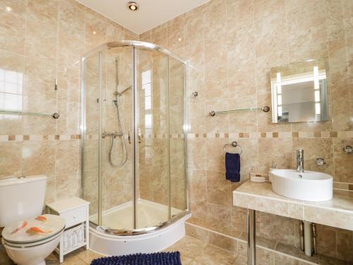 a bathroom with a shower and a toilet and a sink at Penholm in Penmaen-mawr