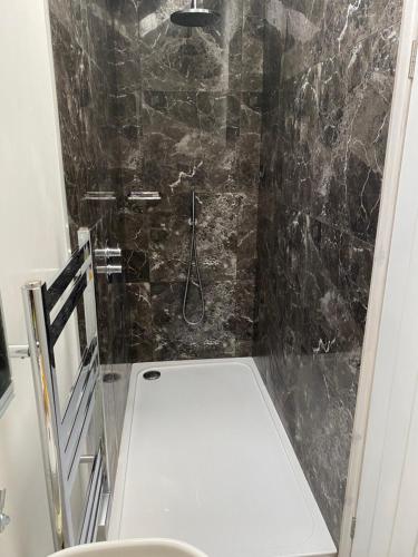 a bathroom with a shower with a toilet in it at Cornish Billys Barn in Penzance