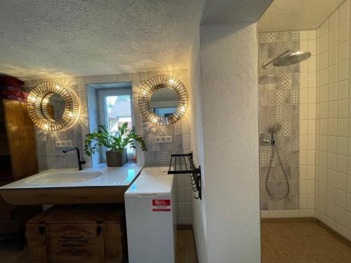 a bathroom with a sink and a mirror at Spreewaldhaus Widwan in Lübbenau
