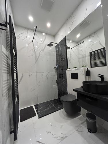een badkamer met een wastafel, een toilet en een douche bij Deluxe Apartment Favoriten in Wenen