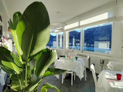ein Restaurant mit einer großen grünen Pflanze in einem Zimmer in der Unterkunft Hotel Ristorante Parco Belvedere in Pescate