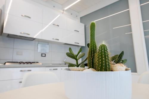 un cactus sentado en un mostrador blanco en una cocina en Mary Vi Rooms, en Peschici