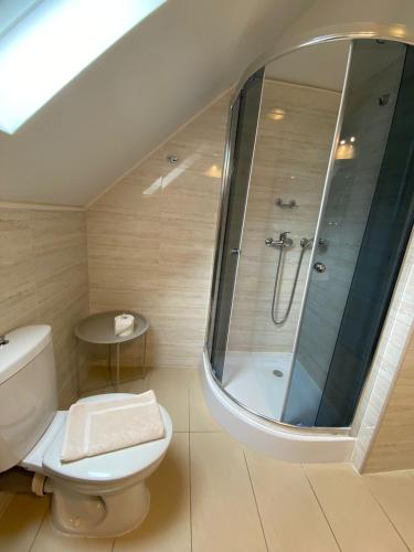 a bathroom with a shower and a toilet at Penzión Tiberia in Trenčín