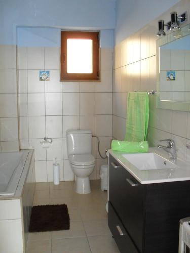 a bathroom with a toilet and a sink and a mirror at la villa de Rose in Kalymnos