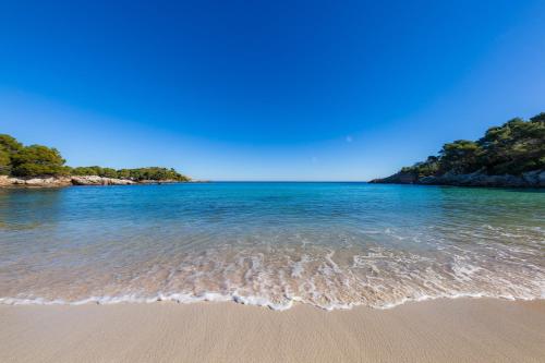 a view of the beach with trees in the water at Apartamento La Pergola in Font de Sa Cala
