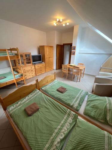 Postel nebo postele na pokoji v ubytování Sokolí hnízdo
