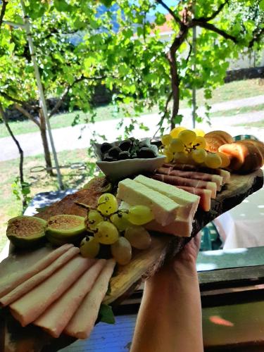 a person holding a plate of cheese and other foods at Sailor's Rustic House in Virpazar