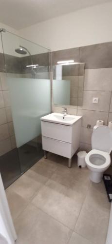 ein Badezimmer mit Toilette, Waschbecken und Dusche in der Unterkunft Les Gites De La Pinede in Balaruc-les-Bains