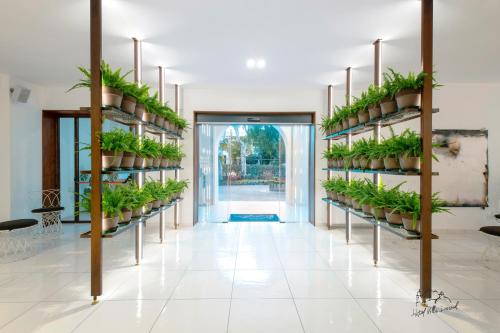a room with shelves filled with potted plants at Hotel Villa Durrueli Resort & Spa in Ischia