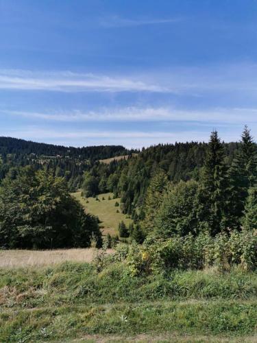 Galería fotográfica de Casa Vrelo, Golija en Raška