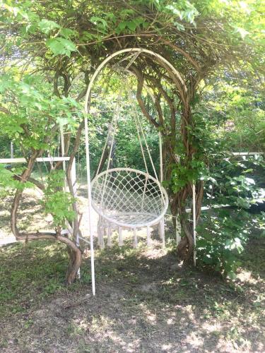 a swinging chair under a tree in a garden at Várhegy Vendégház in Fonyód