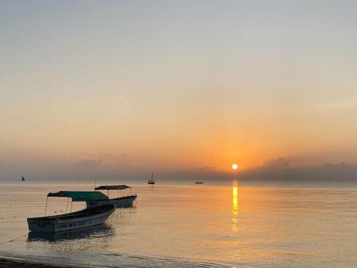 two boats are docked on the beach at sunset at Lui Ushongo Beach House in Pangani