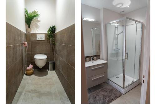 two pictures of a bathroom with a shower and a sink at La Ferme de Bacchus in Hautvillers