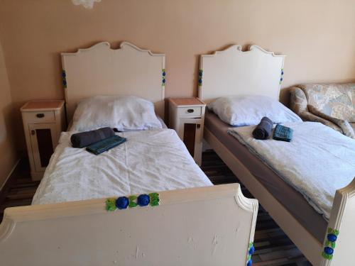 two twin beds in a room with two at Őrségi Kastélydombi Kistücsök Vendégházak in Hegyhátszentmárton