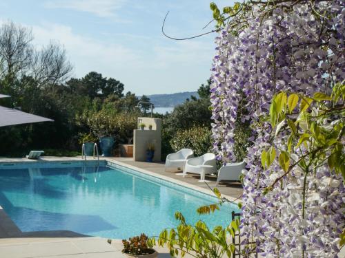 una piscina con un árbol de flores púrpura al lado en Maison d'Hôtes L'Espigoulié, en Sainte-Maxime