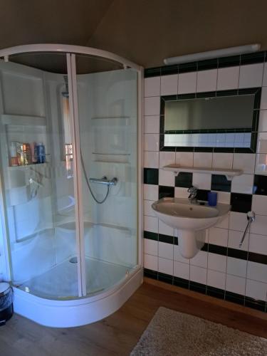 een badkamer met een douche en een wastafel bij Begijnhof 54 in Sint-Truiden