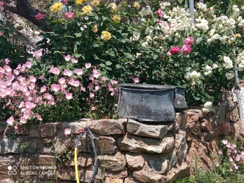 a flower garden with a bucket on a stone wall at BELLA-CAZA in Mákri