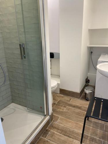 a bathroom with a shower and a toilet at JADE, STUDIO au coeur de la ville in Villers-sur-Mer
