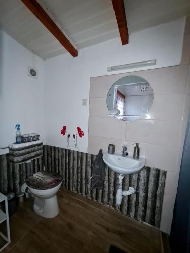 a bathroom with a sink and a toilet and a mirror at Tündérlak Nyaraló Békésszentandrás in Békésszentandrás