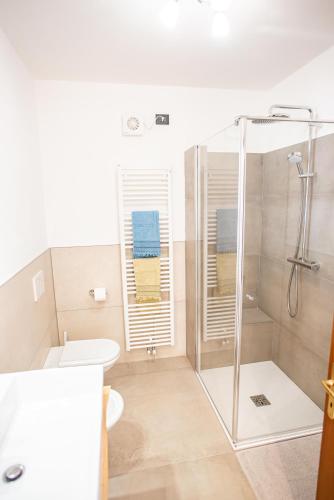 a bathroom with a shower and a toilet and a sink at Arcolovers in Arco