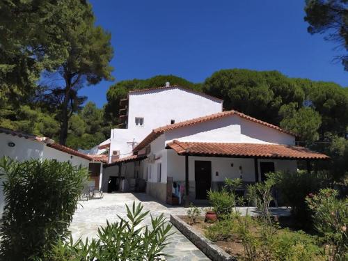 duży biały dom z drzewami w tle w obiekcie Villa Nikos Koukounaries w mieście Koukounaries