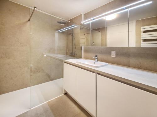 La salle de bains blanche est pourvue d'un lavabo et d'une douche. dans l'établissement Hotel Restaurant Steenhuyse, à Audenarde