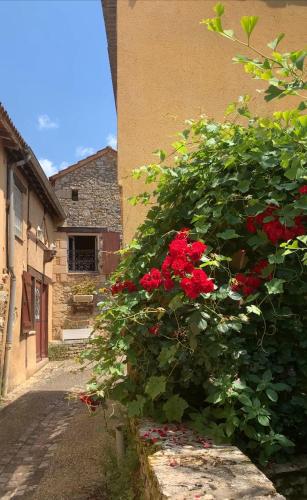 Photo de la galerie de l'établissement L'ÉCRIN d'ALYZARINE 5 pers max enfants compris, à Daglan