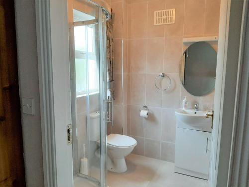ein Badezimmer mit einem WC, einem Waschbecken und einem Spiegel in der Unterkunft Abhainn Ri Cottages in Blessington