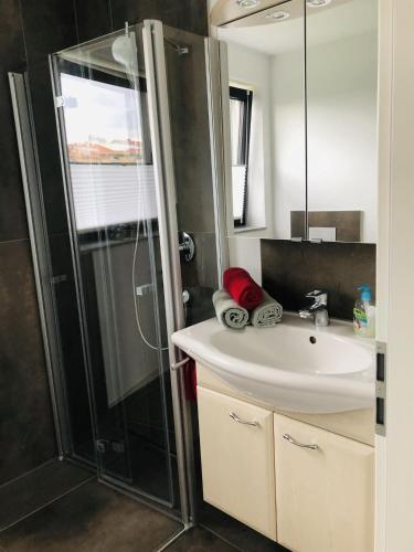 a bathroom with a shower and a sink at Ferienwohnung Vivien in Rieden