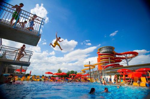 un hombre saltando a una piscina en un parque acuático en Pension Sonnengarten & Therme included - auch am An- & Abreisetag!, en Lutzmannsburg