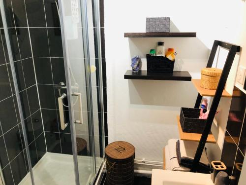 une salle de bain avec une douche avec une porte vitrée dans l'établissement Cosy en plein cœur du Touquet, à Le Touquet-Paris-Plage