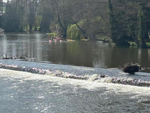 a river with a group of ducks in the water at La Petite Maison in Pont-d'Ouilly