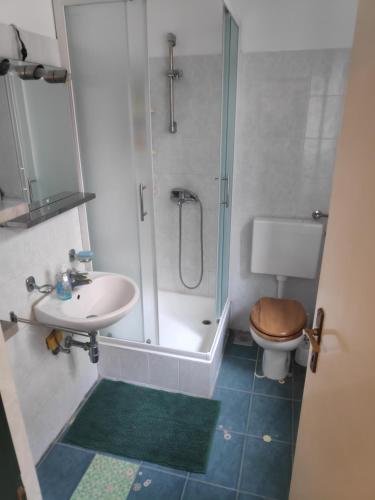 un bagno con doccia, WC e lavandino di Apartment Poluotok a Zara (Zadar)