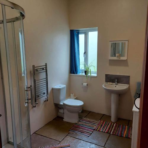 a bathroom with a toilet and a sink at Spacious self catering accommodation near HayOnWye in Hay-on-Wye