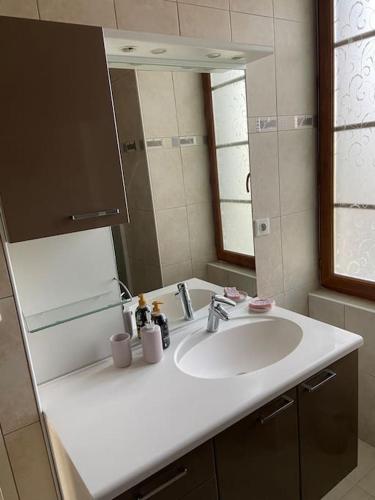 une salle de bain avec un lavabo blanc et un miroir dans l'établissement Notre petite maison dans la prairie, à Saint-Germain-du-Bel-Air