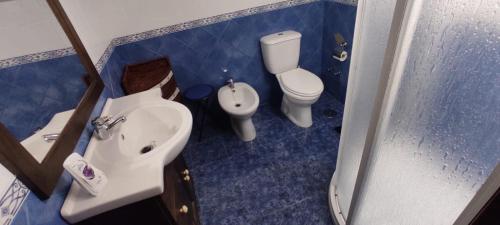 a blue bathroom with a toilet and a sink at RINCÓN DEL MIÑO in Tomiño