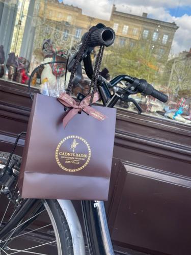 a bike with a bag attached to it at La Villa Bocage in Bordeaux