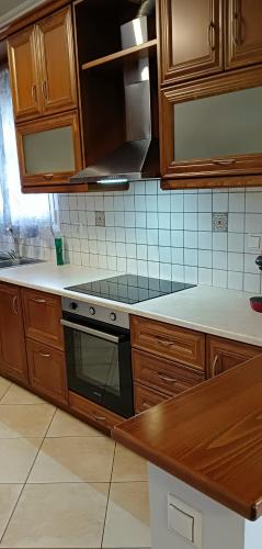 a kitchen with wooden cabinets and a stove top oven at Mountainside in Vounoplagiá