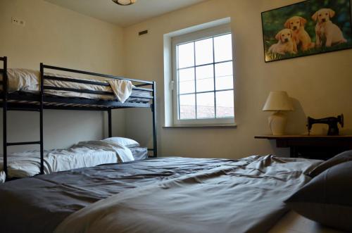 a bedroom with two bunk beds and a window at Vakantiewoning Scheewege met zwemvijver en jacuzzi in Wingene