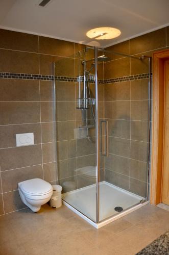 a bathroom with a shower and a toilet at Vakantiewoning Scheewege met zwemvijver en jacuzzi in Wingene
