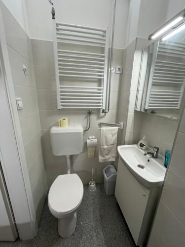 een kleine badkamer met een toilet en een wastafel bij GaribaldiK apartman in Boedapest