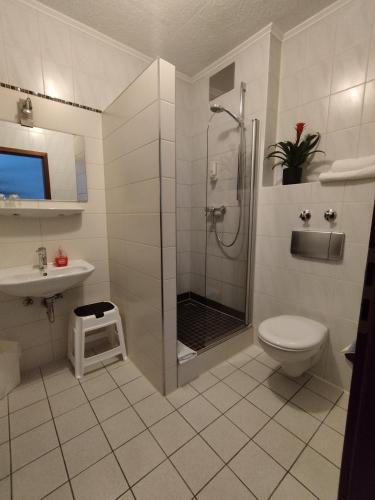 a bathroom with a shower and a toilet and a sink at Hotel Sonnenkeller in Neu Ulm