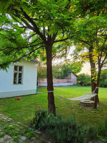 a hammock in a yard next to two trees at Ethno&Coffee House Tulip in Gložan