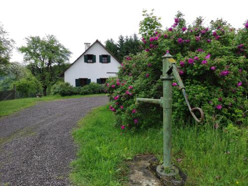 Ein Garten an der Unterkunft Lamplberg