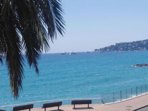 deux bancs assis sur une plage près de l'eau dans l'établissement Bluemarine, studio vista Mare, à Menton