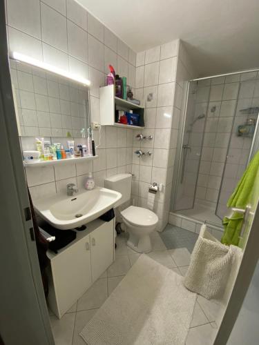 a bathroom with a toilet and a sink and a shower at Dreisessel Dreiländereck Pool Sauna in Neureichenau