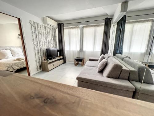 un salon avec un canapé et une télévision dans l'établissement Superbe 2 pièces au calme absolu, à Cannes