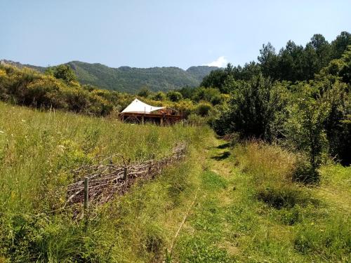 a tent in the middle of a grassy field at Ecolodge de la Ferme du Chant de Cailloux in Die